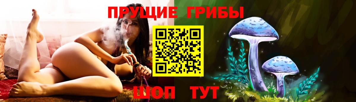 Ревда  Псилоцибиновые грибы GOLDEN TEACHER  Вход с VPN  Псилоцибиновые грибы GOLDEN TEACHER 