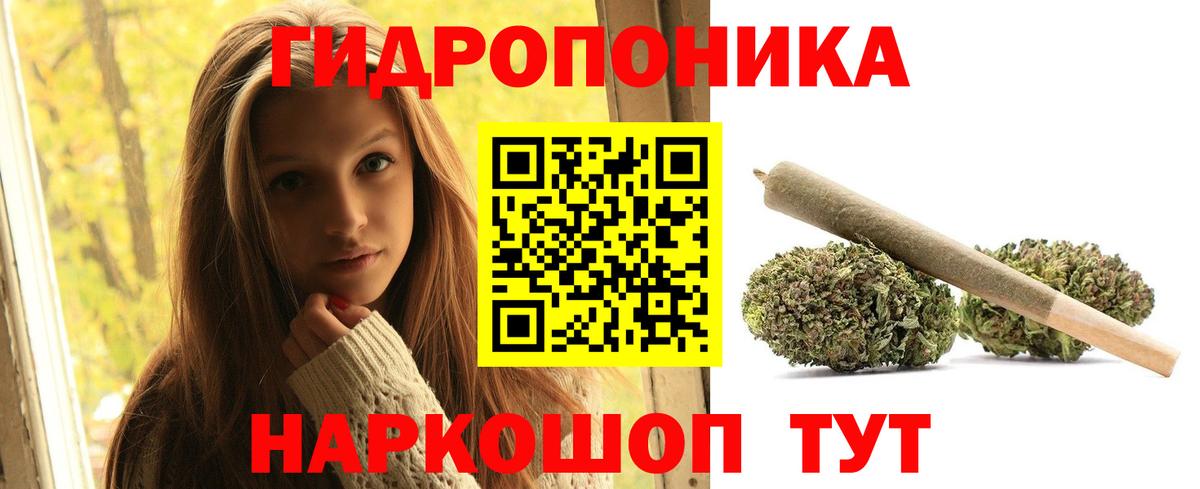 Бошки Шишки OG Kush  Бошки Шишки план  Вход с VPN  Ревда  Конопля AK-47 